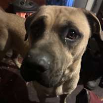 Thumbnail photo of Luke #1