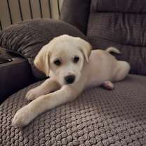 Thumbnail photo of Jack #4