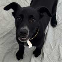 Thumbnail photo of Mildred #1