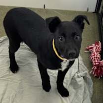 Thumbnail photo of Maeve #2