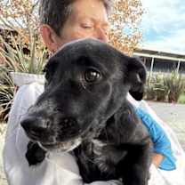 Thumbnail photo of Maeve #3