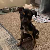 Thumbnail photo of Tater #3