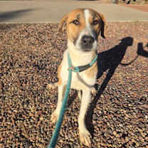 Thumbnail photo of Jill #1