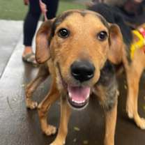 Thumbnail photo of Toast #1