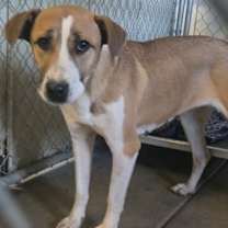 Thumbnail photo of Jill #2