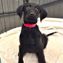 Thumbnail photo of Julia #1