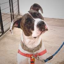 Thumbnail photo of Boom #1