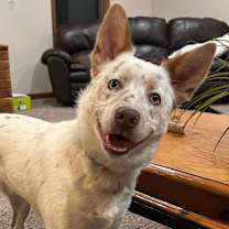 Thumbnail photo of Zero! #2