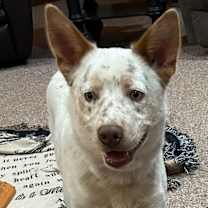 Thumbnail photo of Zero! #3