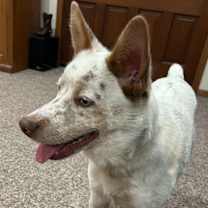 Thumbnail photo of Zero! #4