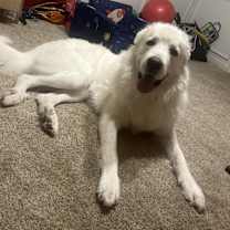 Thumbnail photo of March #1