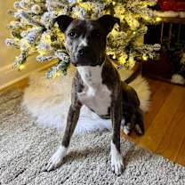 Thumbnail photo of Pablo #1