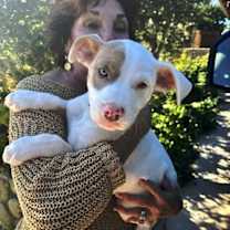 Thumbnail photo of Rookie #1