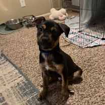 Thumbnail photo of Tater #2