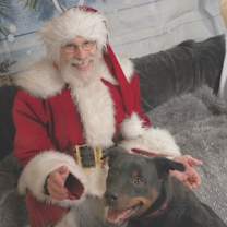 Thumbnail photo of Sadie Lou Who #1