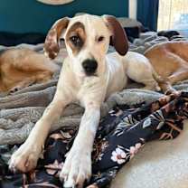 Thumbnail photo of Eve #1