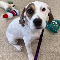 Thumbnail photo of Eve #2