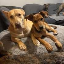 Thumbnail photo of Wednesday #3