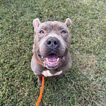 Thumbnail photo of Huncho #1