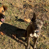 Thumbnail photo of HAVEN #3