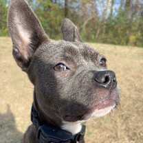 Thumbnail photo of HAVEN #4