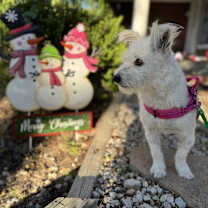 Thumbnail photo of Esmeralda #2