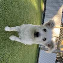 Thumbnail photo of Esmeralda #3