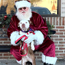 Thumbnail photo of PAPA #3