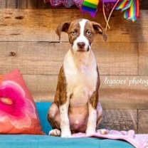 Thumbnail photo of Graham #1