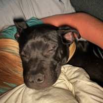 Thumbnail photo of Bennett #3