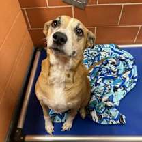 Thumbnail photo of Ava #3