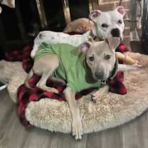 Thumbnail photo of Kane #4