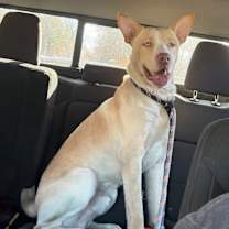 Thumbnail photo of Kingston #1