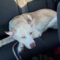 Thumbnail photo of Kingston #2