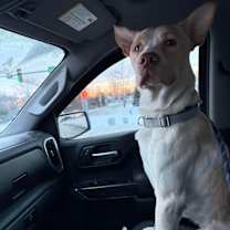 Thumbnail photo of Kingston #3