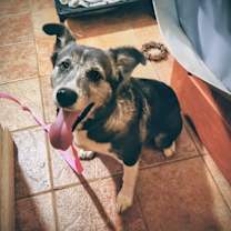 Thumbnail photo of Audrey #1