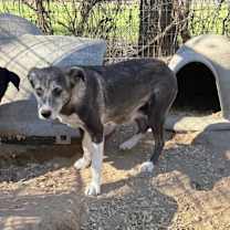 Thumbnail photo of Audrey #2