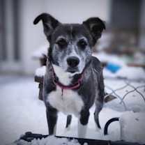 Thumbnail photo of Audrey #3