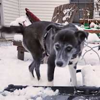 Thumbnail photo of Audrey #4