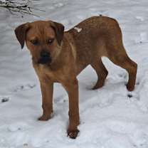 Thumbnail photo of Saint #3