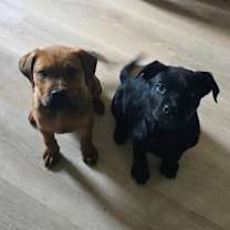 Thumbnail photo of Nick #3