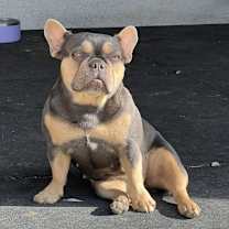 Thumbnail photo of Barbie #3