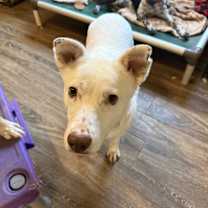 Thumbnail photo of K-Pop #1