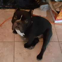 Thumbnail photo of Penelope #3