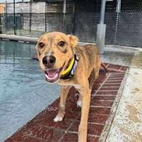 Thumbnail photo of Flacko (Lee) #2