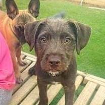 Thumbnail photo of DANNY BOY #1