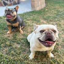 Thumbnail photo of Barbie #4