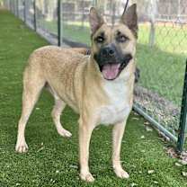 Thumbnail photo of Royce #2