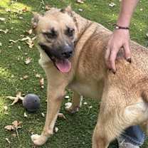 Thumbnail photo of Royce #3