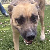 Thumbnail photo of Royce #4